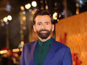 Supporting image for story