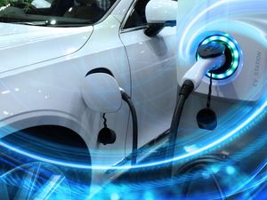 Supporting image for story: Green issues high on agenda for Shropshire businesses entering a new year