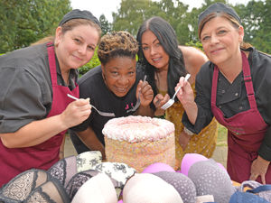 Supporting image for story: Bras for cake at breast cancer fundraising event this weekend