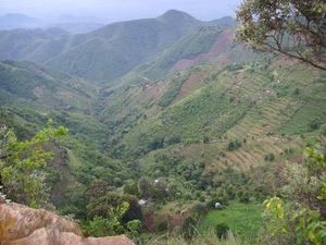 Supporting image for story: Global vegetation ‘changing faster today than over last 18,000 years’