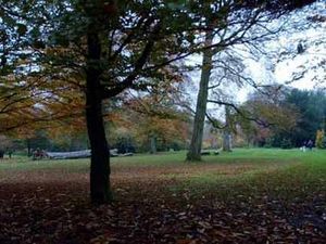 Supporting image for story: Warley Woods is voted England's favourite park