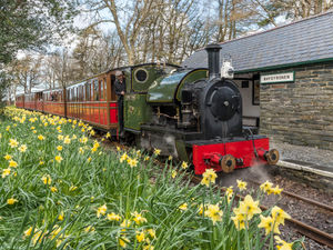 Supporting image for story: Easter event coming to Talyllyn Railway