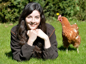 Supporting image for story: Wanted – all-round good eggs to act as mother hen
