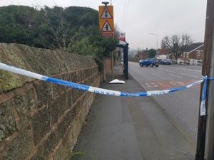 Supporting image for story: Disqualified driver pleads guilty to killing 64-year-old man and injuring his wife in Sedgley hit-and-run