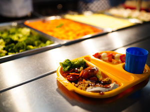Supporting image for story: Record number of pupils eligible to receive free school meals in Shropshire