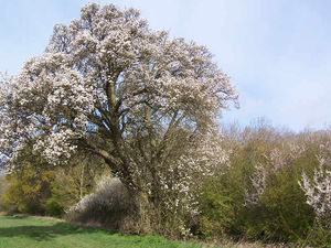 Supporting image for story: Peter Rhodes: Is 60 the new 40?