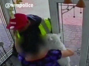 Supporting image for story: VIDEO: Armed raid thugs barge past woman to snatch neck chain