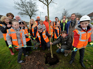 Supporting image for story: Volunteers plant trees in Walsall