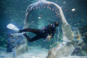 The shark tank at the Bear Grylls Adventure in Birmingham. Pictures by: Ben Queenborough