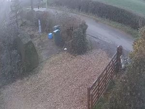 Supporting image for story: Senior border huntsman given large court bill after being found guilty of hunting a fox