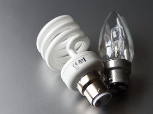 Supporting image for story: Winds to blame for Shrewsbury power cuts