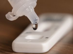 Coronavirus lateral flow test