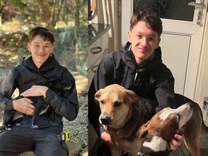 Supporting image for story: Teenager hailed as hero at inquest after losing life in bid to save friend