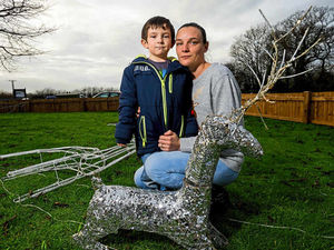 Supporting image for story: 'Baddies' destroy Shropshire Christmas lights