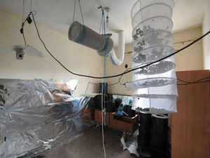 Supporting image for story: Hidden drugs factory found