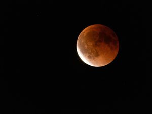 Supporting image for story: Readers' pictures: Total lunar eclipse 'Blood Moon' rises over Shropshire and the West Midlands