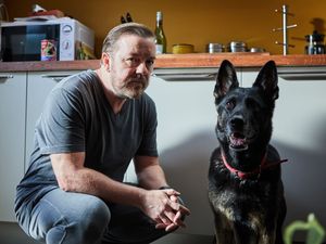 Supporting image for story