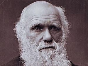 Supporting image for story: We must secure Charles Darwin's legacy – Shrewsbury's future lies in its past