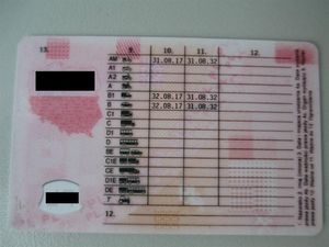 Supporting image for story: August 32? Police stop driver with impossible date on his licence