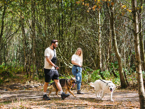 Supporting image for story: Calling dog owners! Discover the paw-fect destination for Walk Your Dog Month at Haughmond Hill