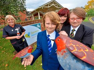 Supporting image for story: Chirpy fundraiser Pip receives first Severn Hospice robin
