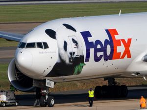 Supporting image for story: Giant pandas arrive in US from China as part of new co-operation deal