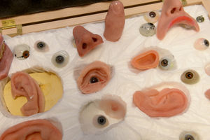 Examples of the prosthetic parts made by the maxillofacial technicians
