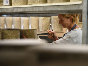 Supporting image for story: Grate news as county firm to export cheese to Australia