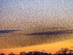 Photo taken by Andrew Fusek Peters, pro wildlife photographer