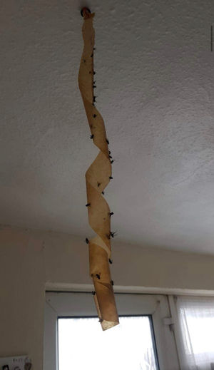 The Environment Agency is investigating.