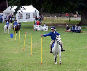 Jenny Everall, aged nine, in the junior section of the NSH mounted games.
