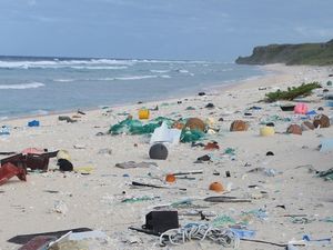 Supporting image for story: An uninhabited South Pacific British island has the worst plastic pollution in the world