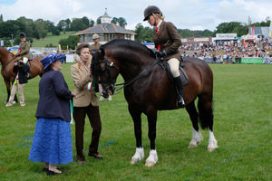 The Princess Anne meets a horse and rider at the showground