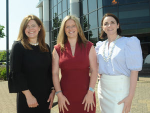 Supporting image for story: Key appointment enhances Higgs’ specialist offerings