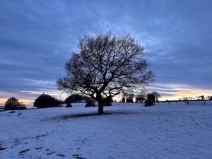 Supporting image for story: Midlands shivering again as cold snap returns with some snow