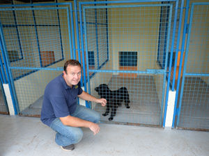 Supporting image for story: Plea from Shropshire kennels owner amid pandemic losses