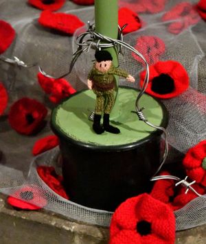 Shropshire Federation of Women's Institutes have decorated Shrewsbury Abbey with a mass of poppies for Remembrance Sunday.