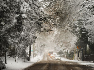 Supporting image for story: Are you happy with how the roads have been gritted in your area?
