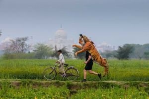 Paul Goldstein training in India. Photo: Paul Goldstein/SWNS