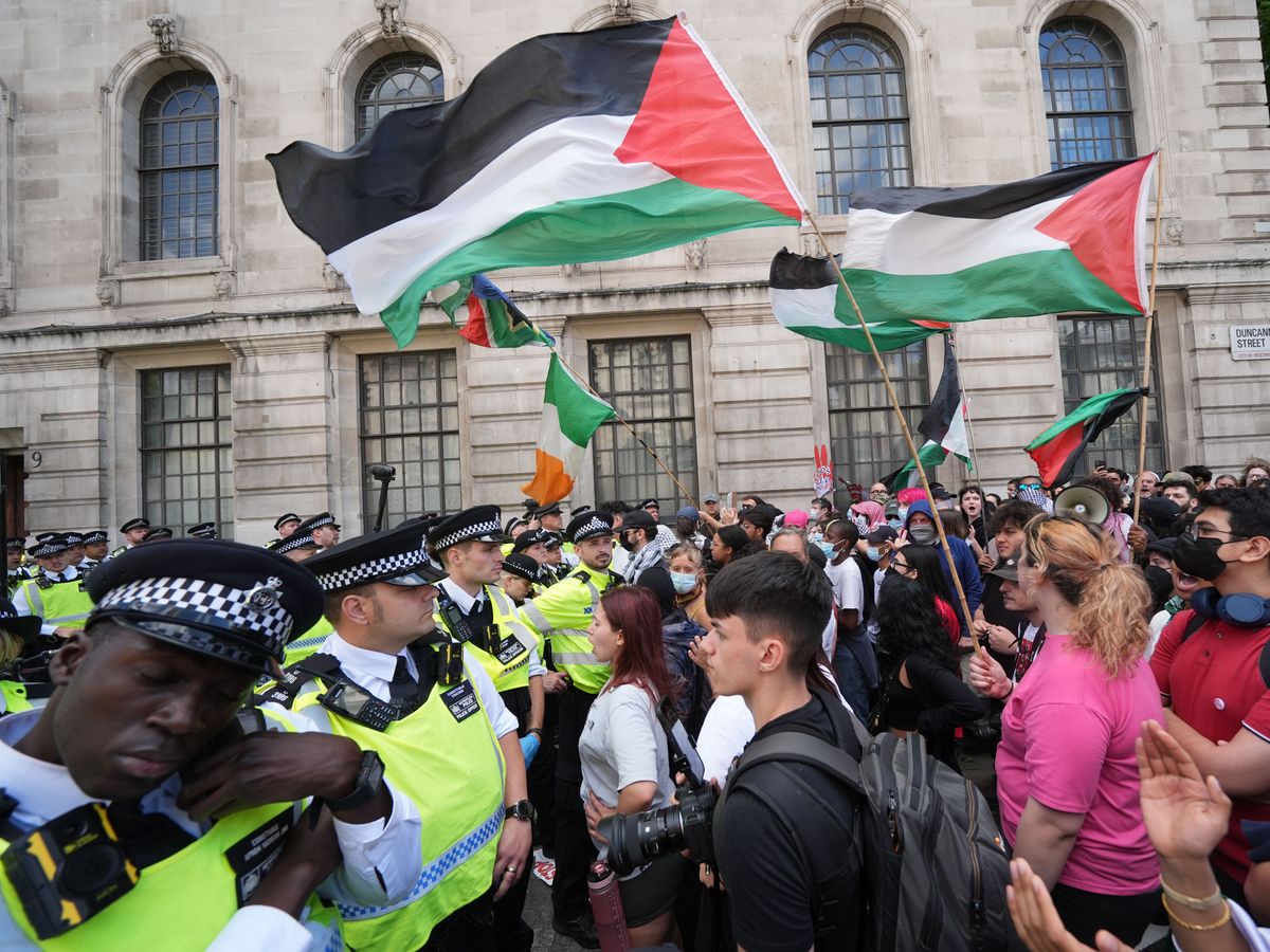 Woman arrested after Palestine Action rally denies assault charges in court