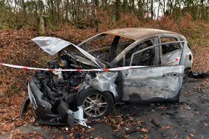 The burned out car has been left on a grass verge and pavement off Newton Road, West Bromwich