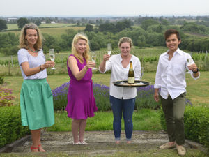 Supporting image for story: Shrewsbury's new vineyard to offer sneak peek to visitors