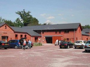 Supporting image for story: Last ditch attempt to save food festival