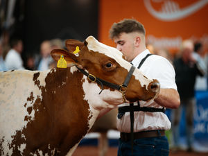 Supporting image for story: Judges line-up complete for UK Dairy Day in Telford 