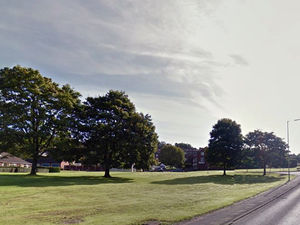 Supporting image for story: Row over bungalows proposal on Ludlow land earmarked as a green 