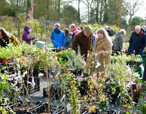 Sugnall Walled Garden Spring Plant Hunters Fair takes place on Sunday 29th March