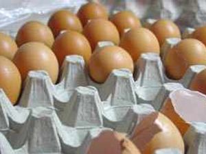 Supporting image for story: Egg farmer says 'it doesn't end here'