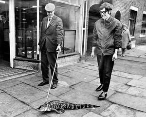 Richard Cockersole takes Charlie for a walk with John Foden in close attendance.