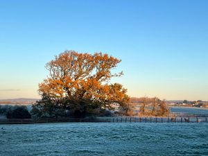 Supporting image for story: Forecasts showing snow for Shropshire as cold spell continues