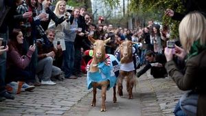 The annual Oxford vs Cambridge Goat Race